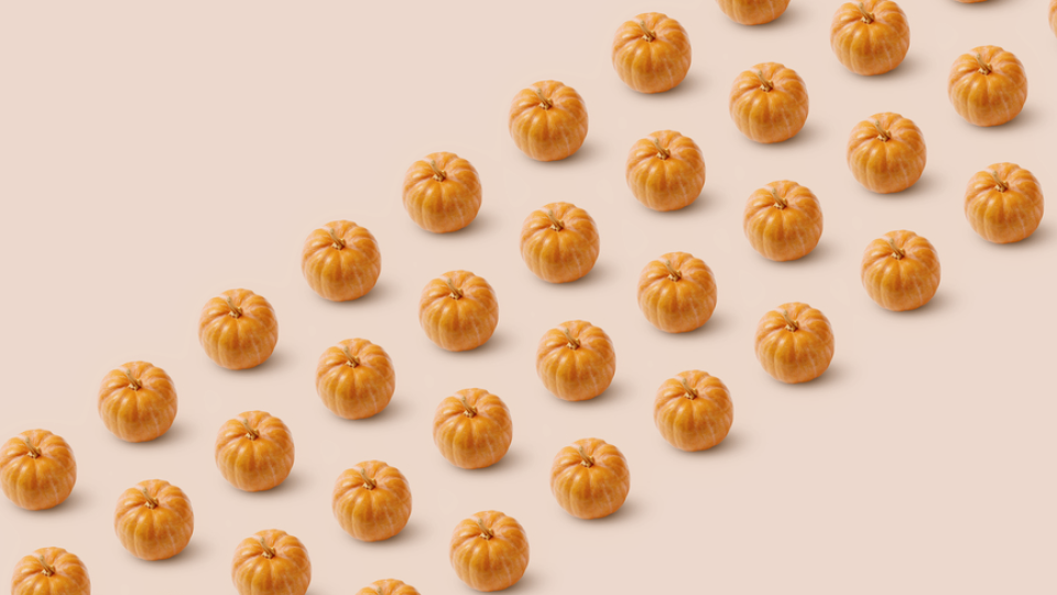 A photo of pumpkins in front of a light orange background