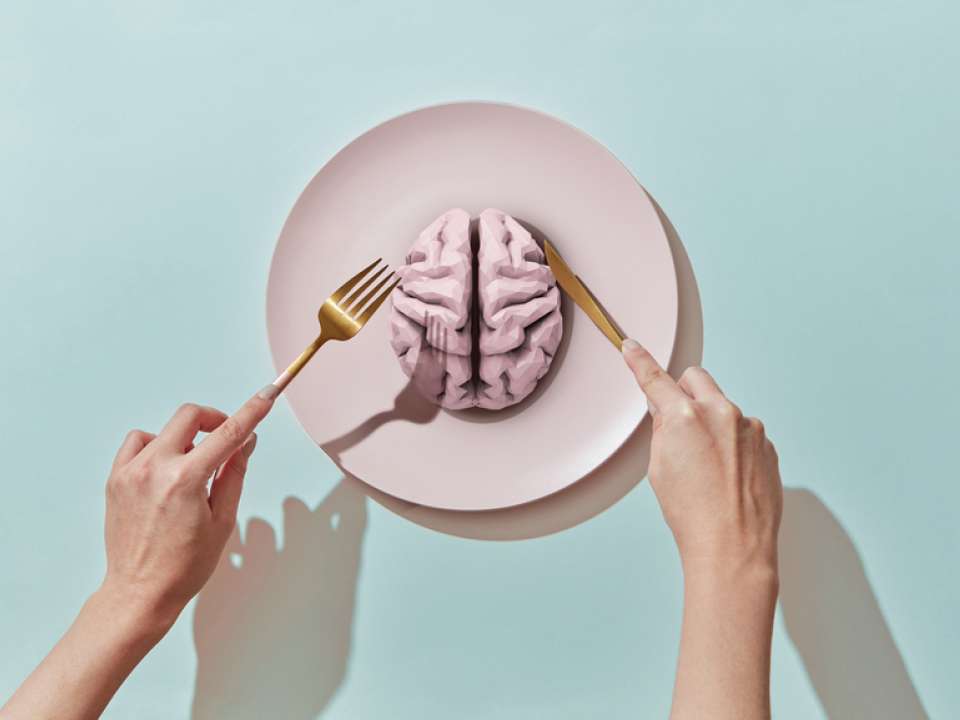 Hands holding a knife and fork over a plate with a brain