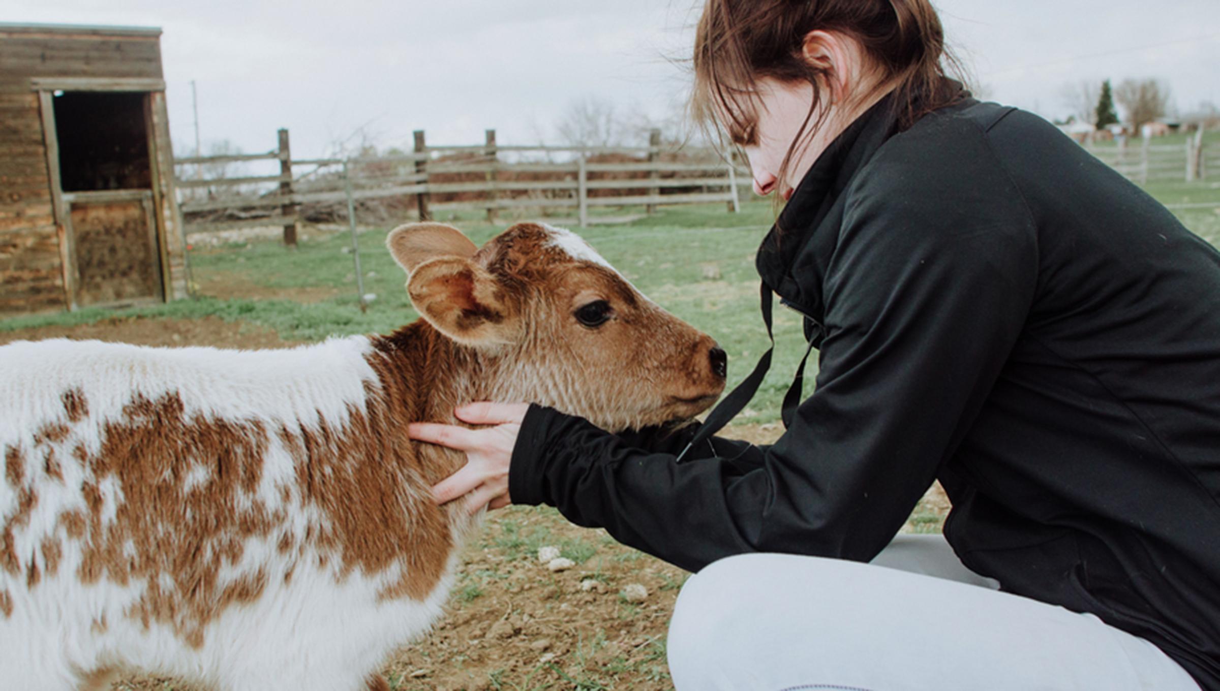 what-chronic-wasting-disease-and-mad-cow-disease-can-teach-us-about