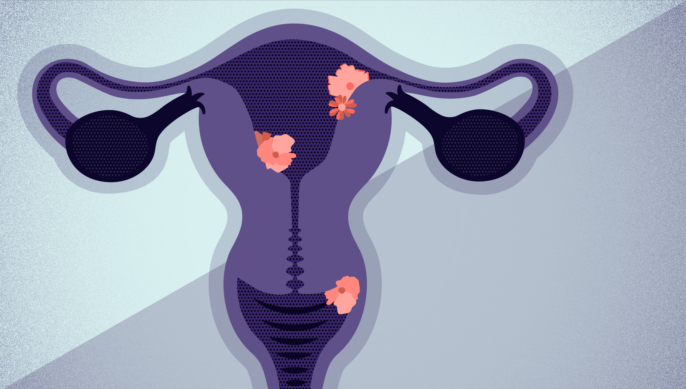 An illustration of the vagina and ovaries.