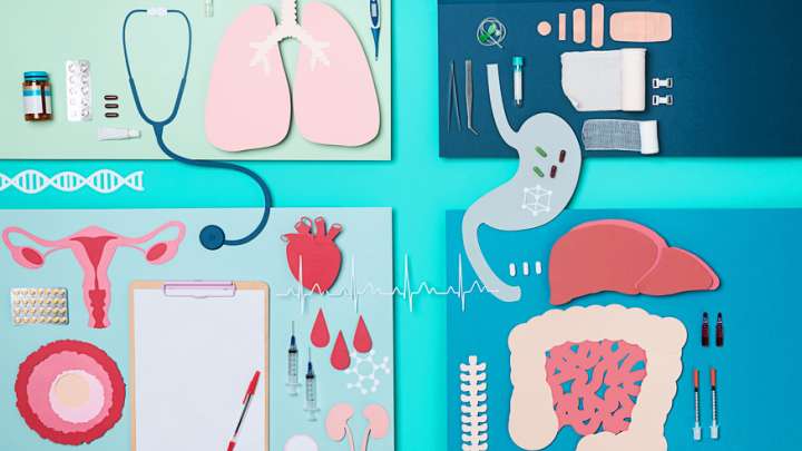 Collage of different organs