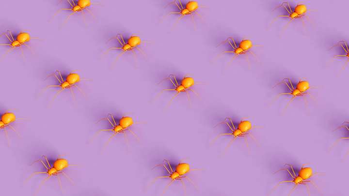 Illustration of yellow spiders on purple background