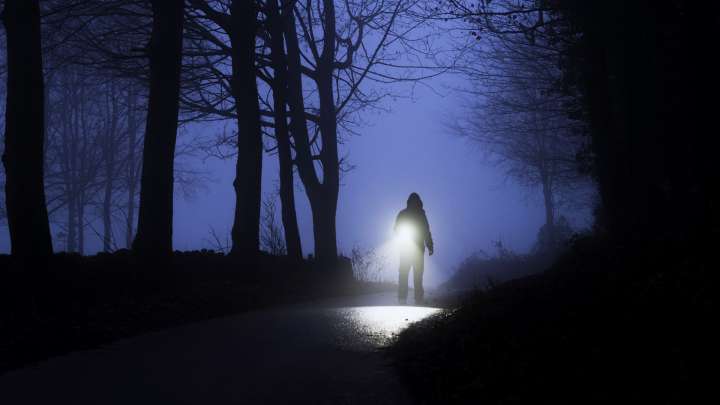 A silhouetted human figure holds a flashlight in a dark, spooky forest.