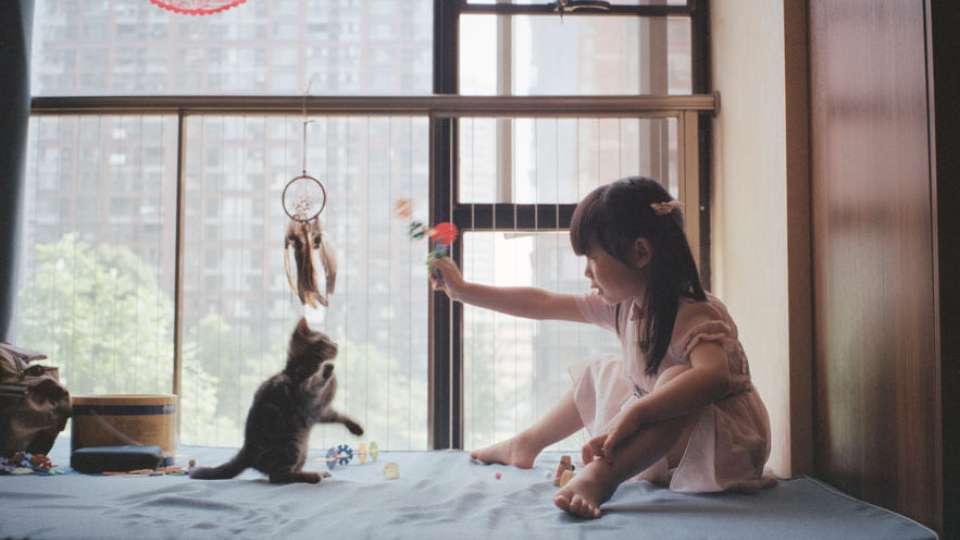 Young girl playing with kitty