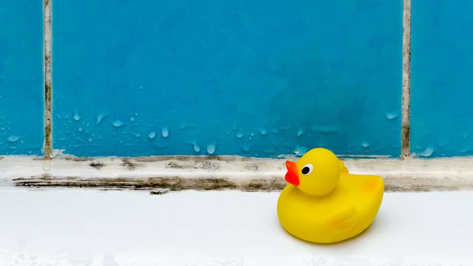 rubber ducky in a moldy shower