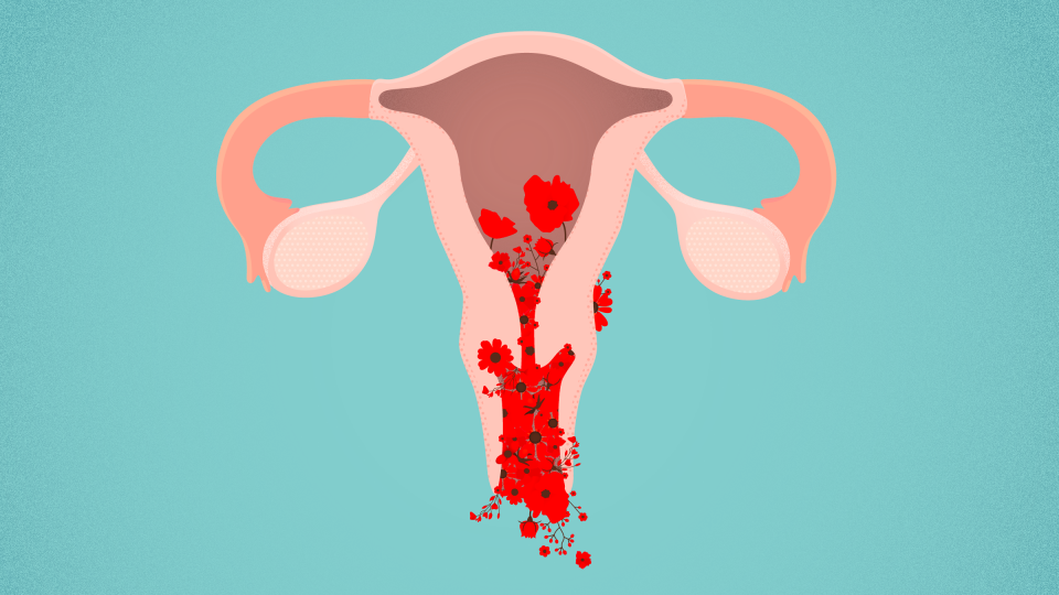An illustration of red flowers growing in a uterus.