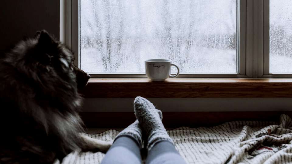 A person's socked feet stretch out on a bed in front of an ice-covered window. A dog sits nearby and a mug sits on the windowsill.