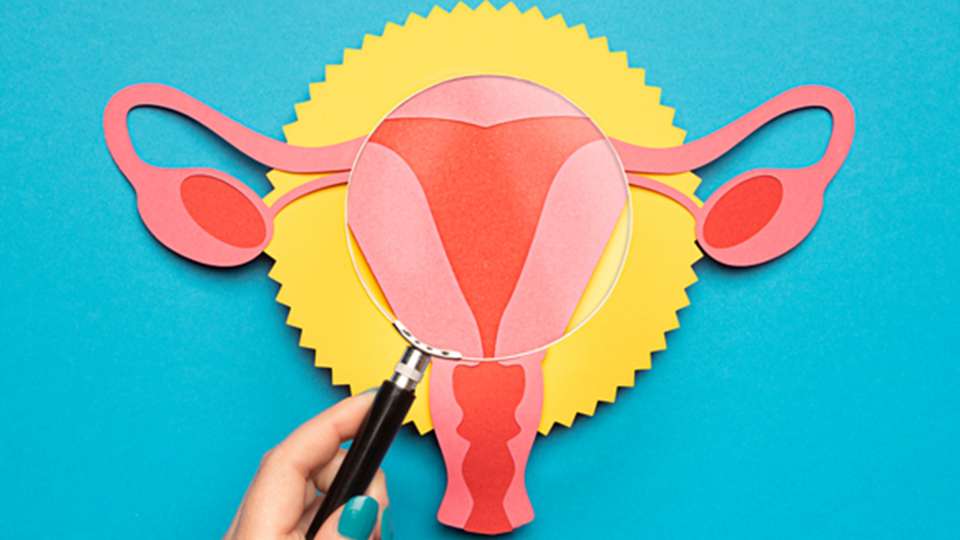 Paper cut out of a uterus