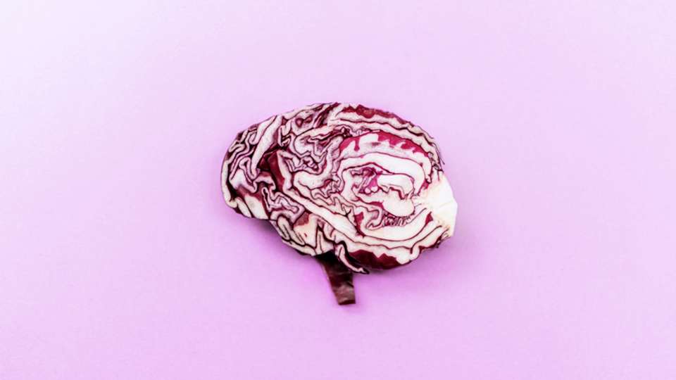 A brain made out of red cabbage on a light purple background.