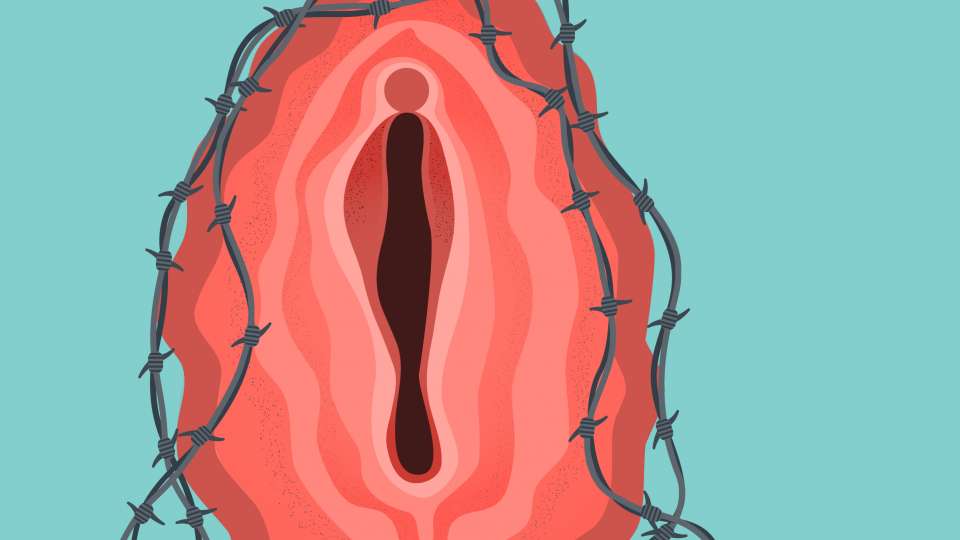 Illustration of a vagina and barbed wire. 
