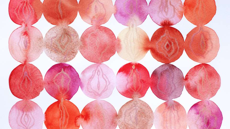 A watercolor illustration of different vulvas.