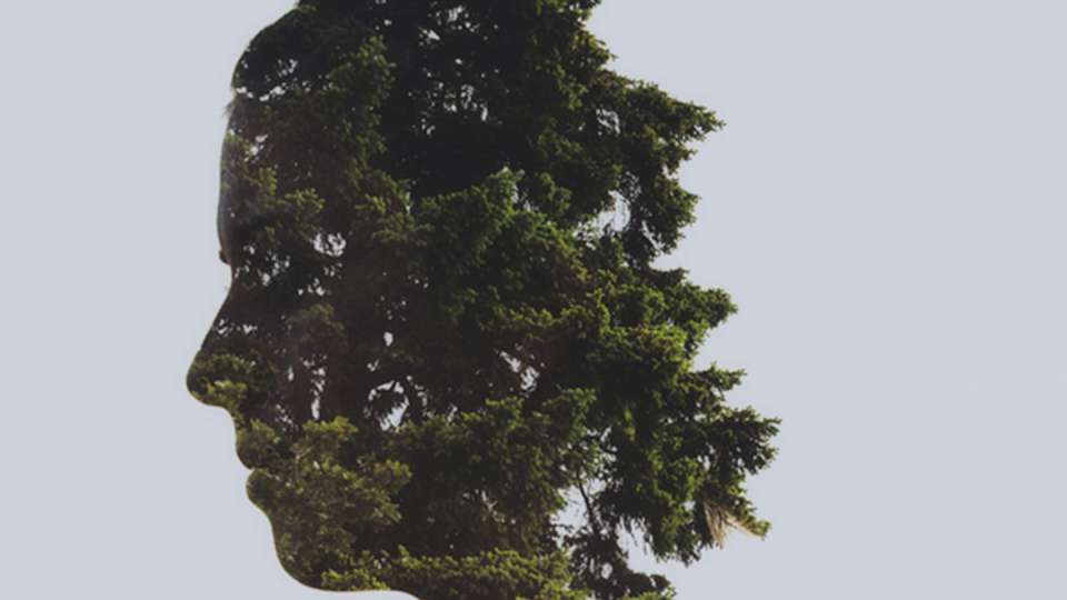An illustration of a woman's face made from trees.