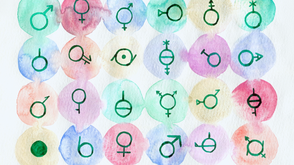 An illustration of various gender symbols