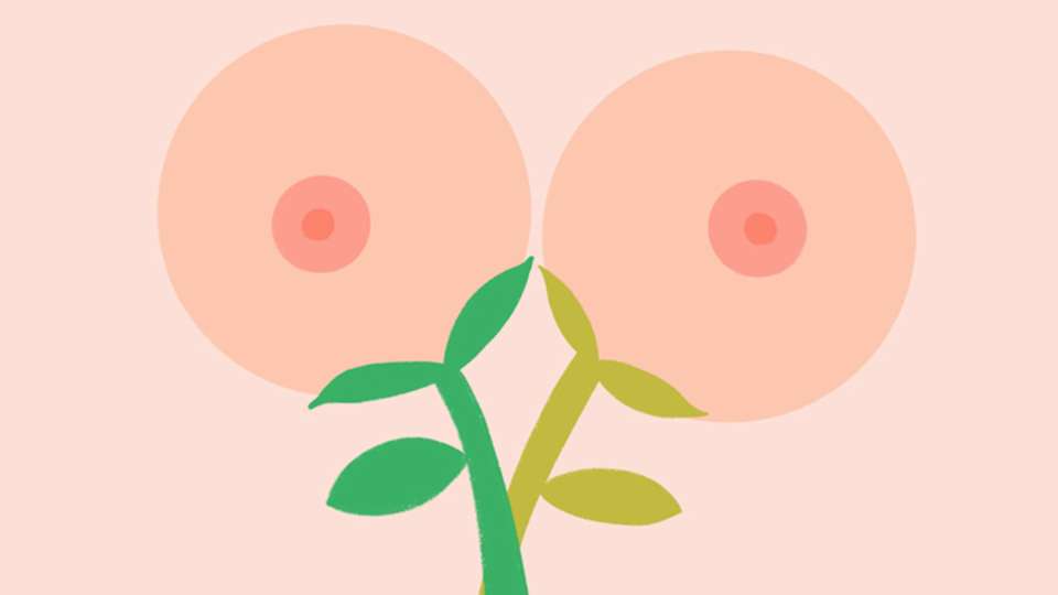 illustration of flowers that look like breasts