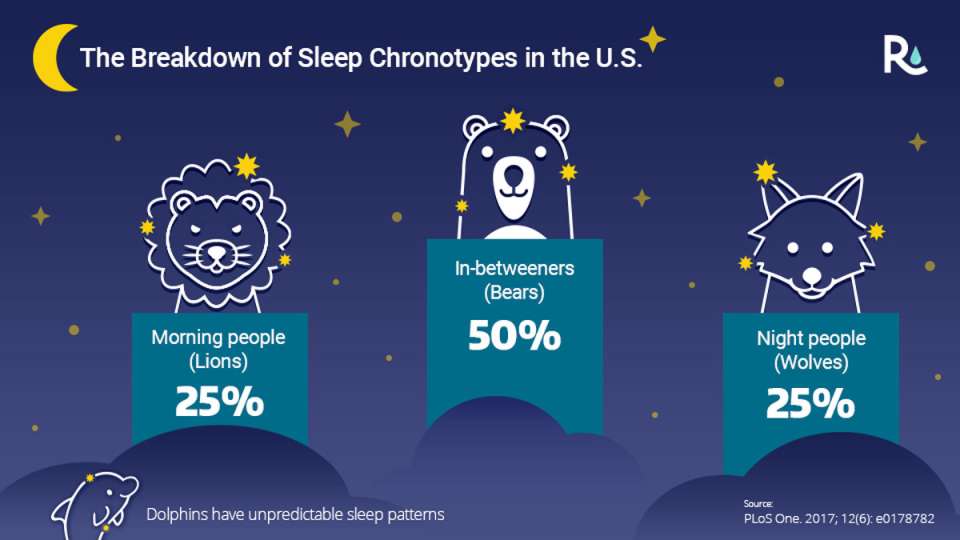 An illustration of the different animal-themed sleep chronotypes.