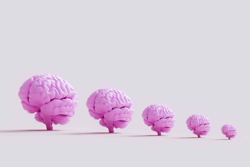 A 3D illustration of five brains in a row decreasing in size