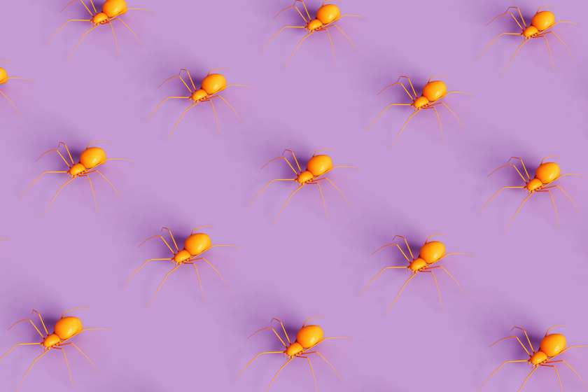 Illustration of yellow spiders on purple background