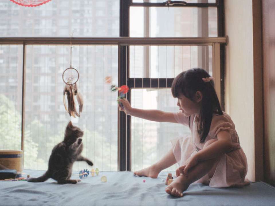 Young girl playing with kitty