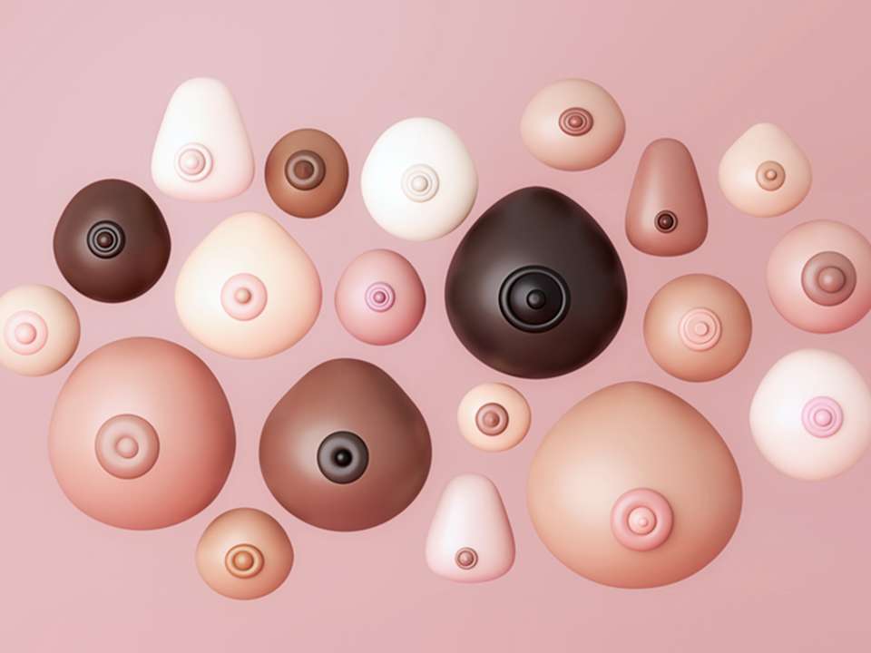 Illustration of boobs