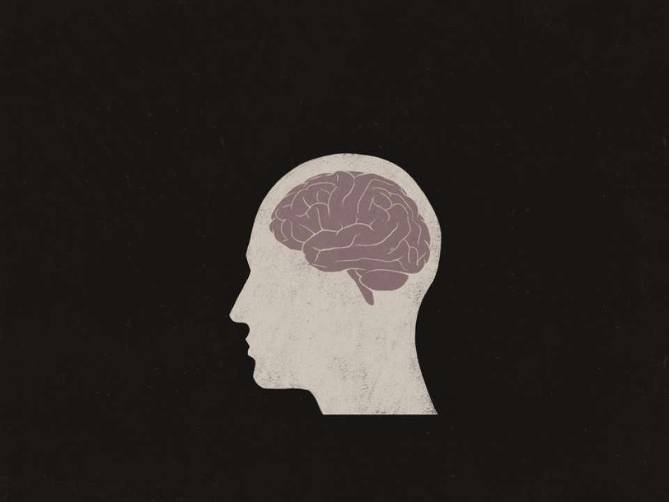 brain illustration dementia