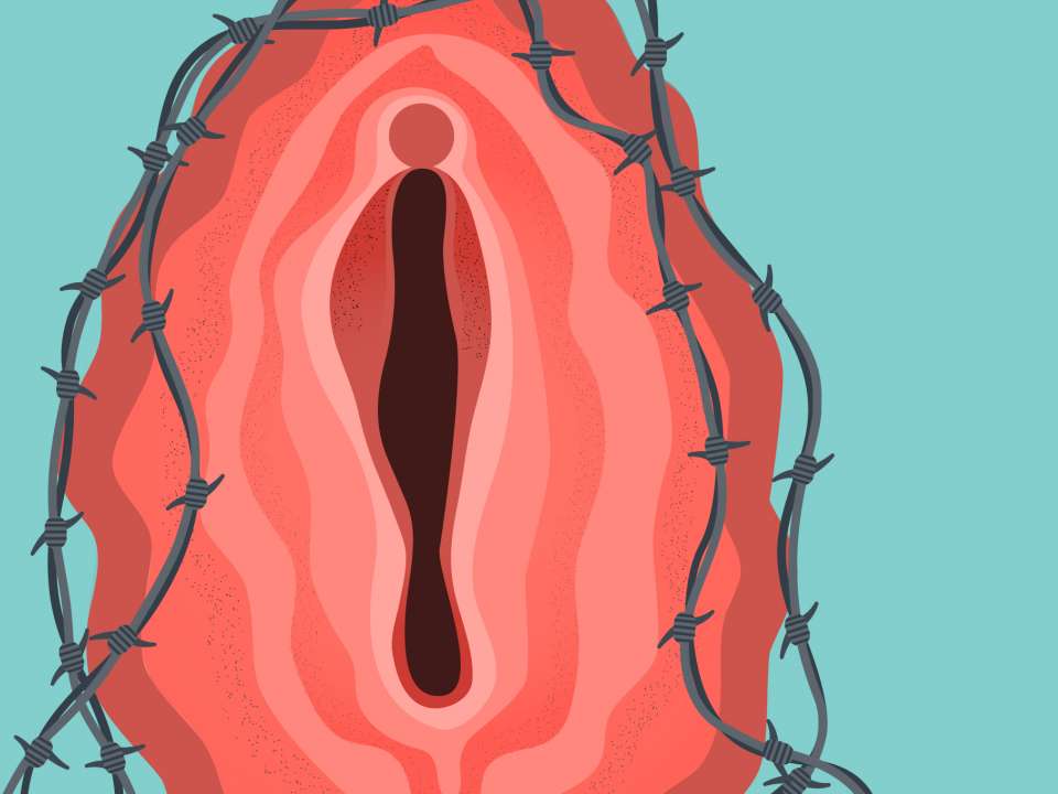 Illustration of a vagina and barbed wire. 