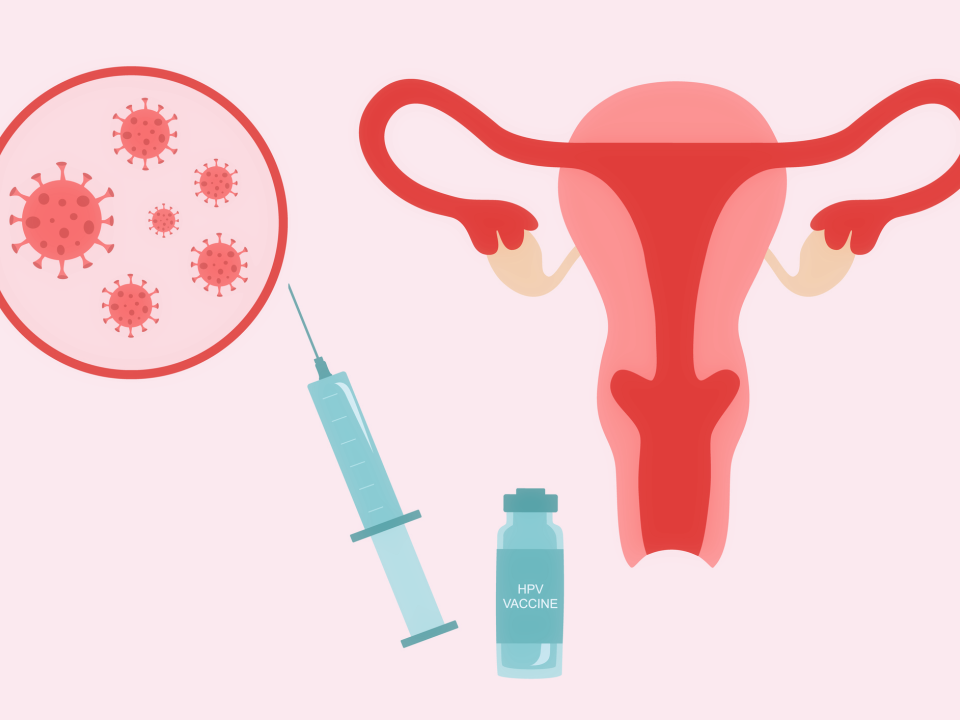 An illustration of a uterus and the HPV vaccine