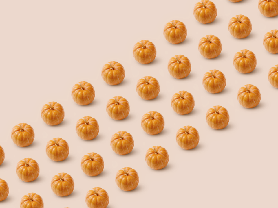 A photo of pumpkins in front of a light orange background