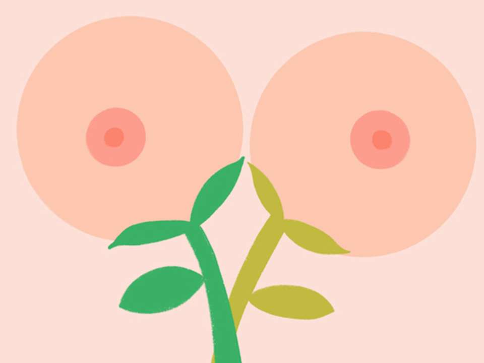 illustration of flowers that look like breasts
