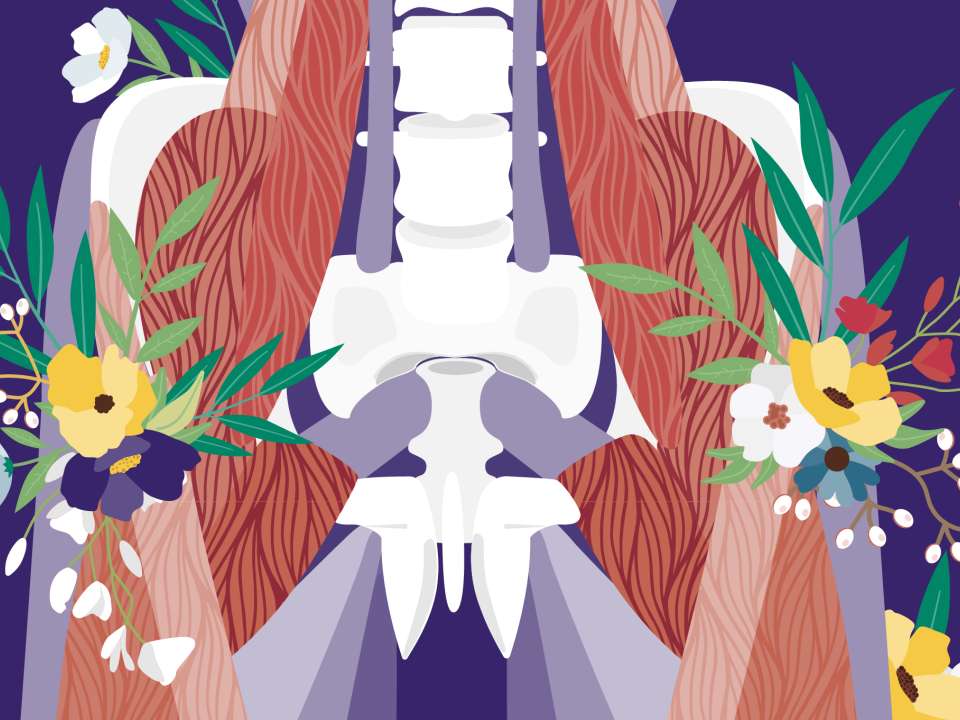 An illustration of hip muscles and bones with flowers.