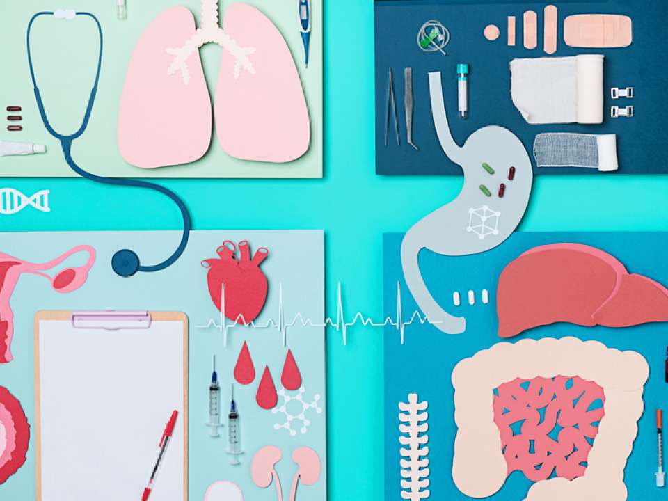 Collage of different organs