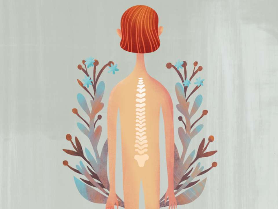 Illustration of a person's back and spine